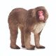Schleich Wild Life Macaque japonais 14871