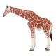 Mojo Vrouwelijke giraffe 381033
