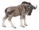 Papo Wild Life Gnoe 50101 
