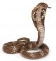 Papo Wild Life Cobra royal 50164