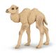 Papo Wild Life Bébé chameau 50221