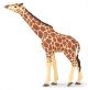 Papo Wild Life Giraf met opgeheven Hoofd 50236