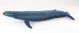 Papo Wild Life Baleine bleue 56037
