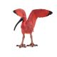 Papo Wild Life Ibis Rouge 50314