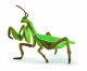 Papo Wild Life Bidsprinkhaan  50244