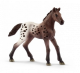 Schleich 13862 cheval Appaloosa, poulain