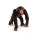 Schleich 14817 Chimpanzé mâle