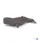 Papo Wild Life Cachalot 56036