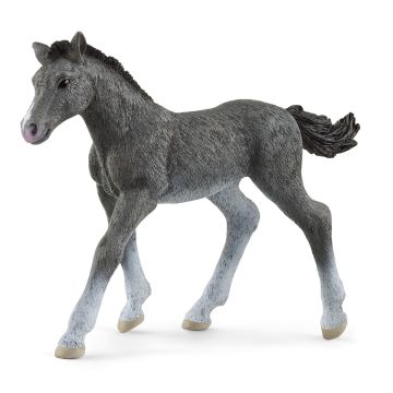 Schleich Horse Club Trakehner Poulain 13944