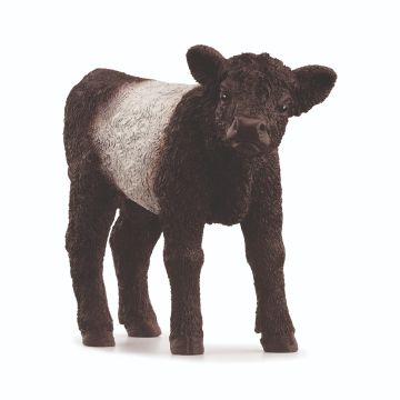 Schleich Farm World Veau Galloway 13969