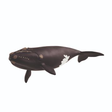 Schleich Wild Life Baleine de l'Atlantique Nord 14878