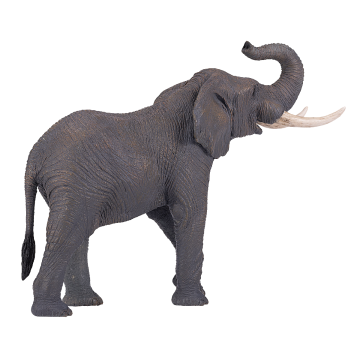 Mojo Wild Life Éléphant d'Afrique 381005