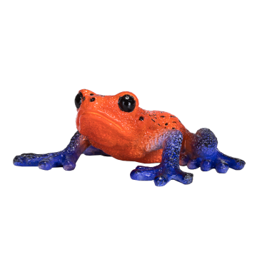 Mojo Wild Life Rainette empoisonnée 381016
