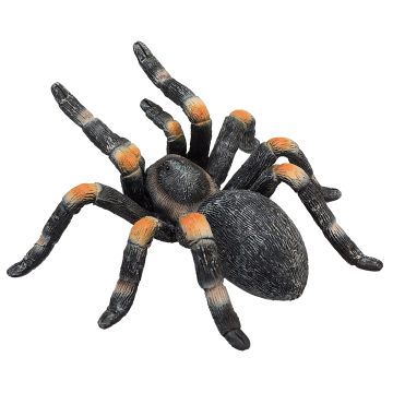 Mojo Wild Life Tarentule aux genoux rouges 387213