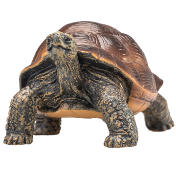Mojo Wild Life Tortue géante 387259