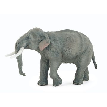 Papo Wild Life Éléphant d'Asie 50131