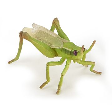 Papo Wild Life Sauterelle 50268