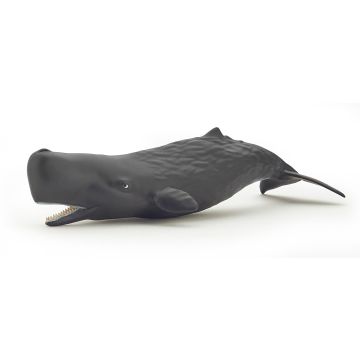 Papo Wild Life Bébé cachalot 56045