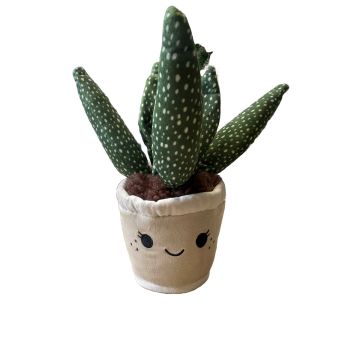 Take Me Home peluche végétale Aloe Vera 19-27cm 660543 Take Me Home peluche végétale Aloe Vera 19-27cm 660543