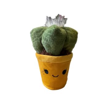 Take Me Home peluche végétale Cactus 19-27cm 660543