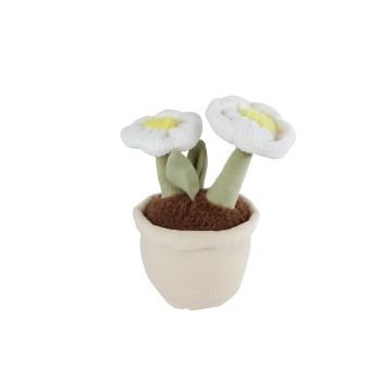 Take Me Home Plante du Désert Peluche L 2x Fleur 25 cm 661164