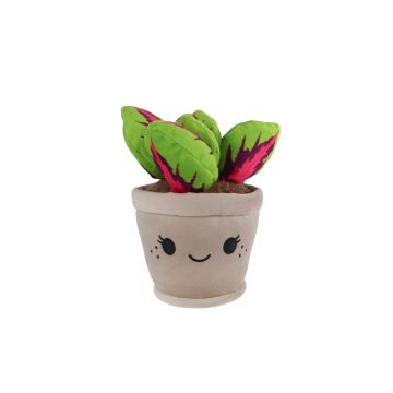 Take Me Home Prints L Peluche Calathea 24 cm 661166 Take Me Home Prints L Peluche Calathea 24 cm 661166