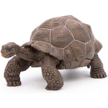 Papo Wild Life Tortue des galápagos 50161