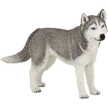 Papo Farm Life Husky de Sibérie 54035 