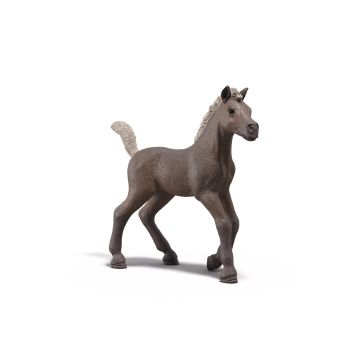 Schleich Horse Club Poulain de collection Darcy 81460