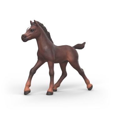 Schleich Horse Club Poulain de collection Ravi 81479