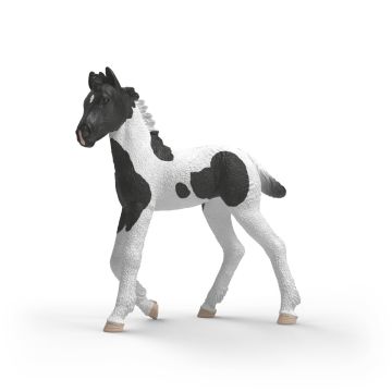 Schleich Horse Club Poulain de collection Rocky 81481
