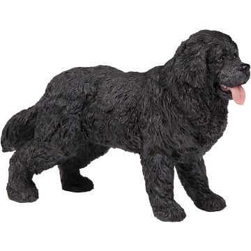 Papo Wild Life Terre-neuve 54018 