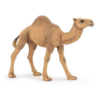 Papo Wild Life Dromadaire 50151