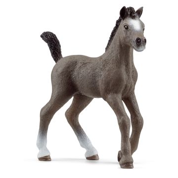 Schleich Horse Club Poulain Selle Francais 13957