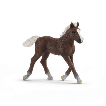 Schleich Cheval 13899 Poulain Forêt Noire