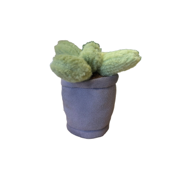 Take Me Home plante en peluche Cactus violet pot 12-17cm 660620