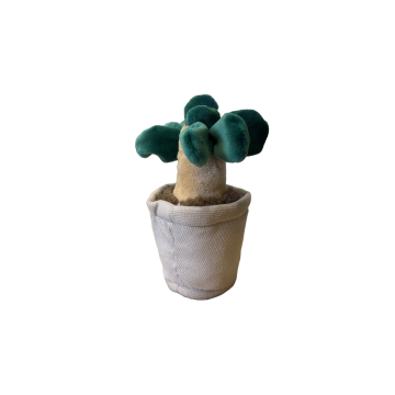 Take Me Home plante en peluche Plante d'intérieur 12-17cm 660620