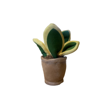 Take Me Home plante en peluche Sansevieria 12-17cm 660620