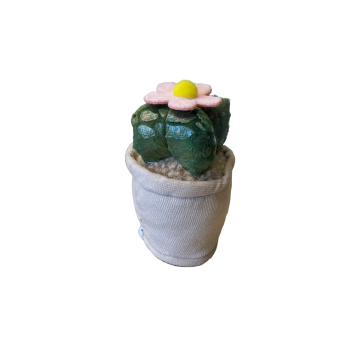 Take Me Home peluche végétale Cactus avec fleur 12-17cm 660620