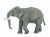 Papo Wild Life Aziatische Olifant 50131