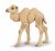 Papo Wild Life Bébé chameau 50221