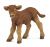 Papo Farm Life Veau Limousin 51132
