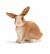 Schleich 13827 Lapin