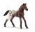 Schleich 13862 cheval Appaloosa, poulain