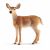 Schleich Wildlife 14819 cerf de Virginie femelle