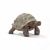 Schleich Wild Life 14824 Tortue géante