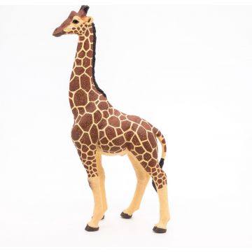 Papo Wild Life Girafe mâle 50149
