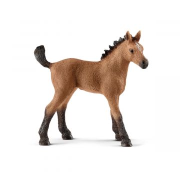 Poulain Quarter Horse du Horse Club Schleich 13854