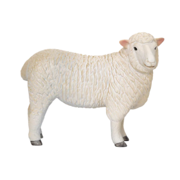 Mojo Farmland Brebis Romney Brebis 381064