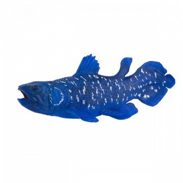 Mojo Sea Life Cœlacanthe 381050